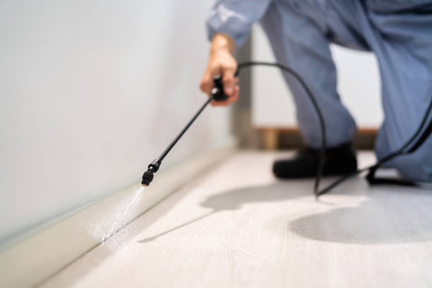 Licensed Fumigation Services service in Covington city County, VA - Nex Pest Control