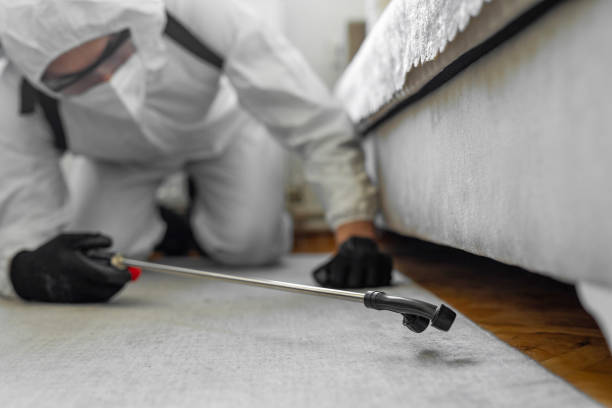 Professional Fumigation Services technician working in Covington city County, VA